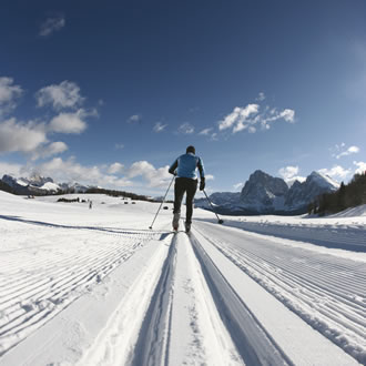 Cross country ski