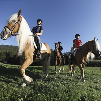 Horseback riding