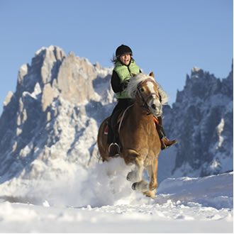 Escursioni con le slitte trainate da cavalli e equitazione invernale